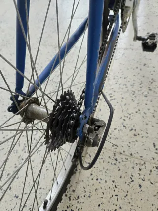 Dos bicicletas, mira las fotos