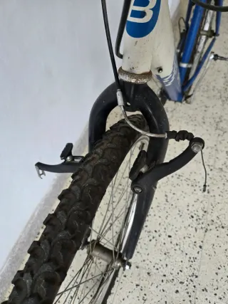 Dos bicicletas, mira las fotos