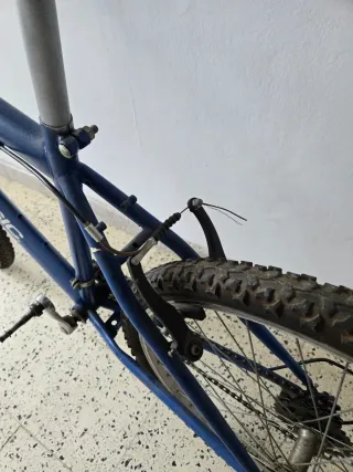Dos bicicletas, mira las fotos