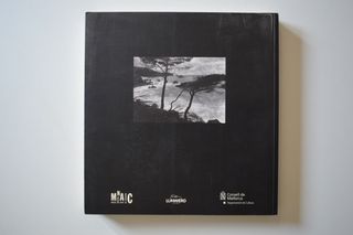 LIBRO TONI CATANY L'ARTISTA EN EL SEU PARADÍS 2000