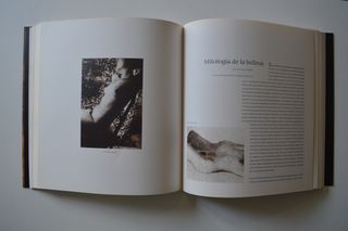 LIBRO TONI CATANY L'ARTISTA EN EL SEU PARADÍS 2000