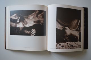 LIBRO TONI CATANY L'ARTISTA EN EL SEU PARADÍS 2000