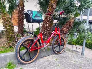 BH FLORIDA X5 MAG BMX LLANTAS ACORN MAGNUM