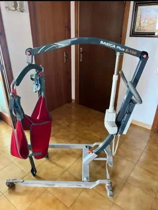 Grúa de transferencia modelo "Básica Plus E-150"