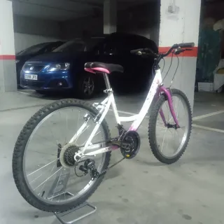 Bicicleta Infantil Ruedas 24