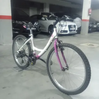 Bicicleta Infantil Ruedas 24