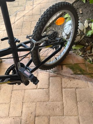 Bicicleta Biocycle Negra