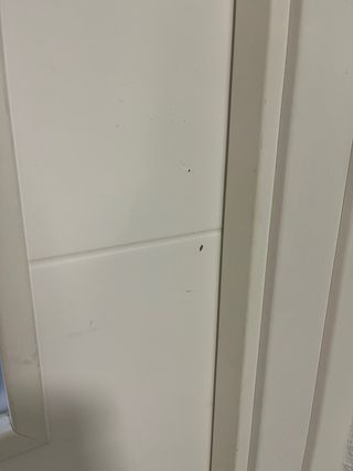 Puerta blanca con 4 cristales