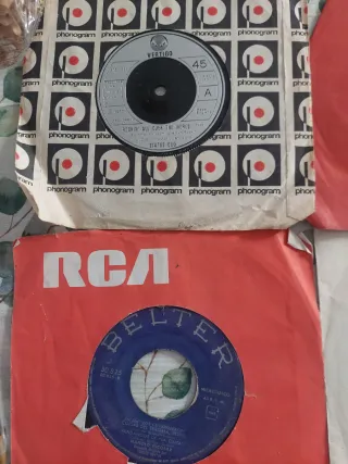 Vinilo Lolita, Vicente Fdez, Gardel, Raphael, etc