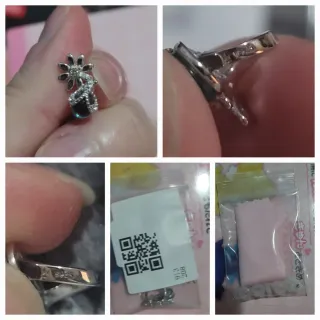 Gnoce Charm Flor s925