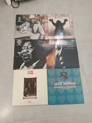 6 Vinilos de Blues: Muddy Waters, B.B. King, Hooke
