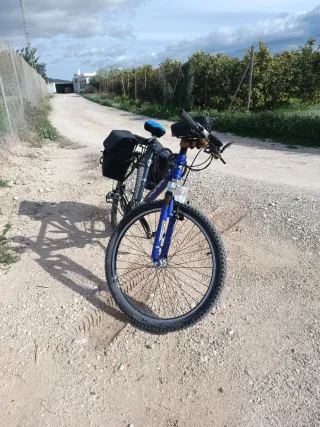Bicicleta de montaña