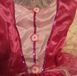 Costume Carnevale Principessa e Pirata Eureka Kids