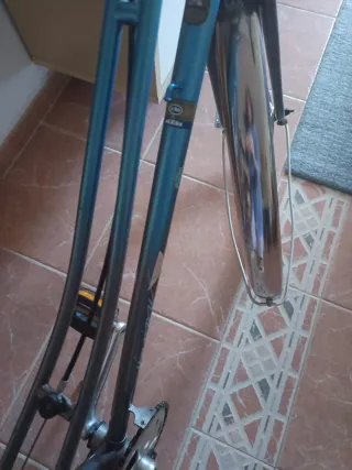 Bicicleta de paseo clásica