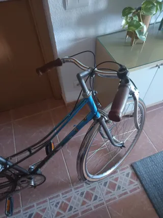 Bicicleta de paseo clásica
