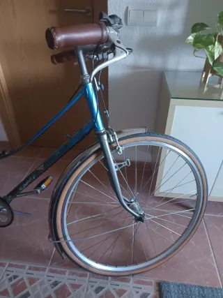 Bicicleta de paseo clásica