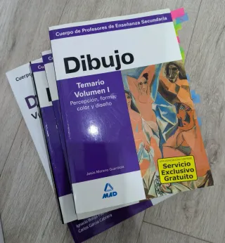 C. profesores de enseñanza secundaria. Dibujo.