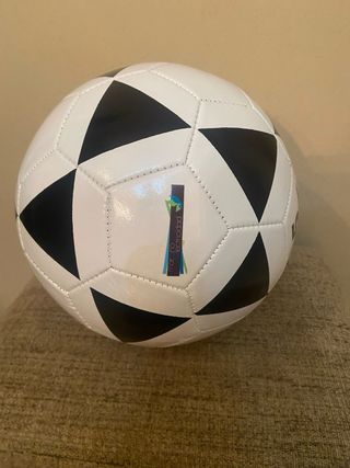 Balón de reglamento