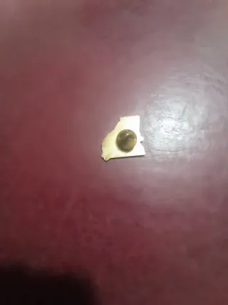 Spilla Georgia Confederata