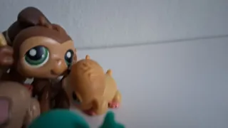 Lote 5 Perritos Juguetes