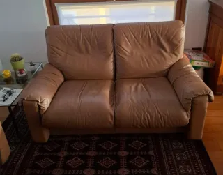 Coppia divani 2 posti Busnelli in pelle