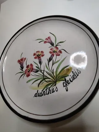 Piatto ceramica Bassano artigianale vintage