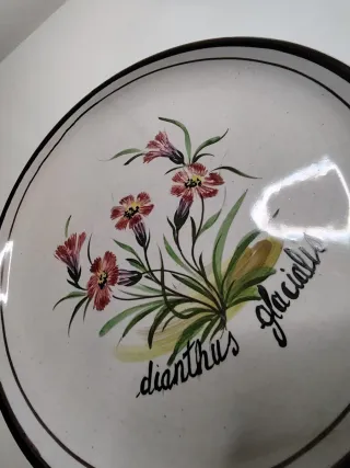 Piatto ceramica Bassano artigianale vintage