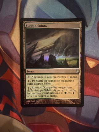 Steppa Salata Foil - Magic The Gathering