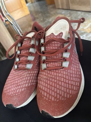 Zapatillas Nike Pegasus 37 color teja