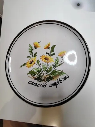 Piatto ceramica Bassano artigianale vintage