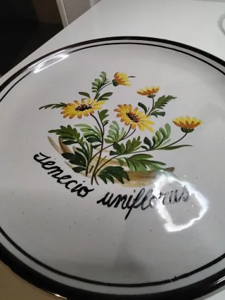 Piatto ceramica Bassano artigianale vintage