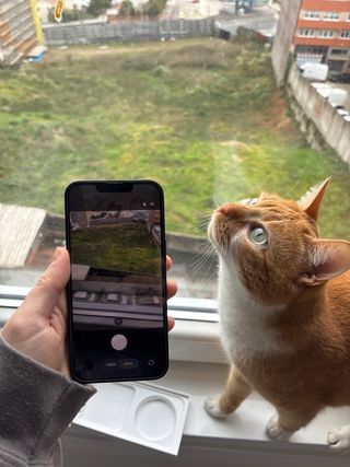 iPhone 13 negro brillante - 2 años de uso