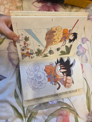 ​Dragon Ball Ilustraciones Completas Descatalogado