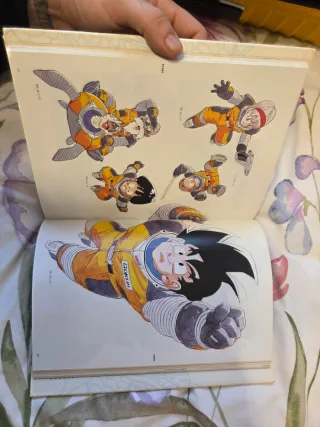 ​Dragon Ball Ilustraciones Completas Descatalogado