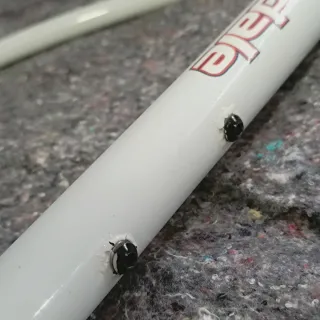 Cannondale Caad4 EEUU