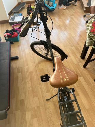 Bicicleta plegable Zambra Maxi, de 20