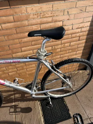 Bicicleta de montaña Mendiz