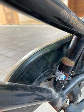 Bicicleta Holandesa Negra Paseo