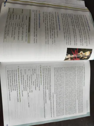 Lingua galega e literatura 1º Bach. LOMLOE