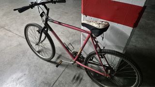 Bicicleta de montaña GLO-BIKE