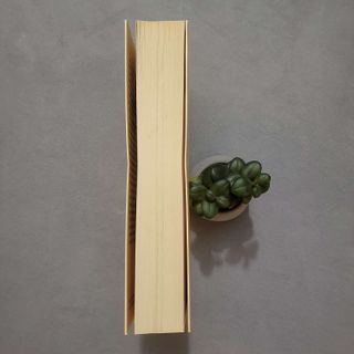 Enlazados de Rainbow Rowell