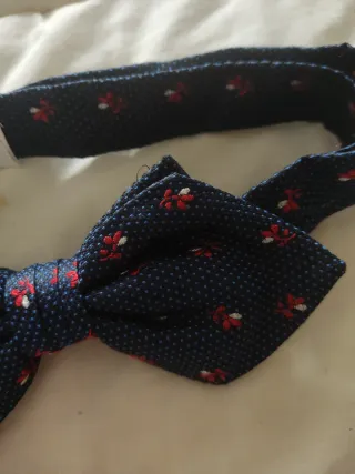 Pajarita Zara Hombre Azul con Flores Rojas