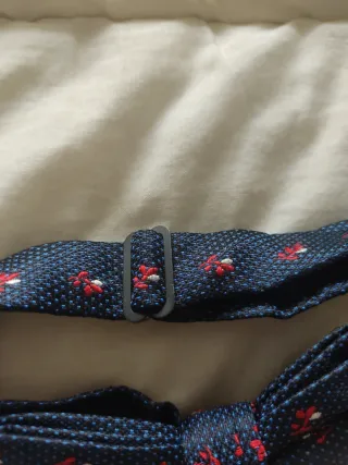 Pajarita Zara Hombre Azul con Flores Rojas