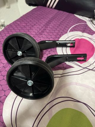 Ruedines Vici Nuevos