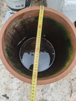 Maceta de barro grande