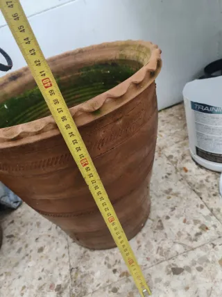 Maceta de barro grande