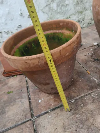 Maceta de barro grande