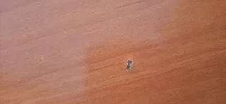 Mesa de salón extensible de madera