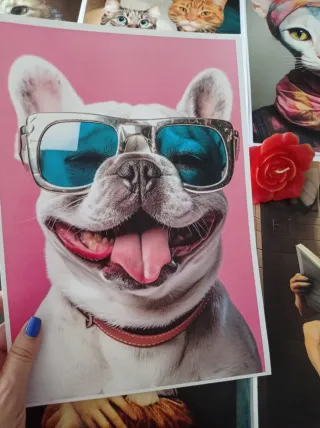 Composiciones Únicas, Cuadros