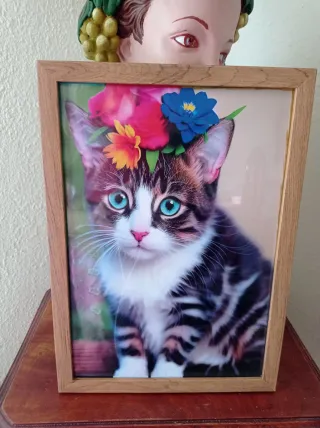 Composiciones Únicas, Cuadros